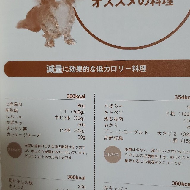 愛犬をかしこく、丈夫に育てる健康ごはん入門図鑑　犬　ごはん　本 エンタメ/ホビーの本(住まい/暮らし/子育て)の商品写真