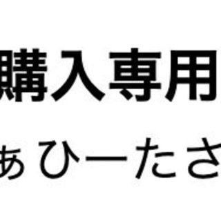 ふぁひーたさん専用(その他)