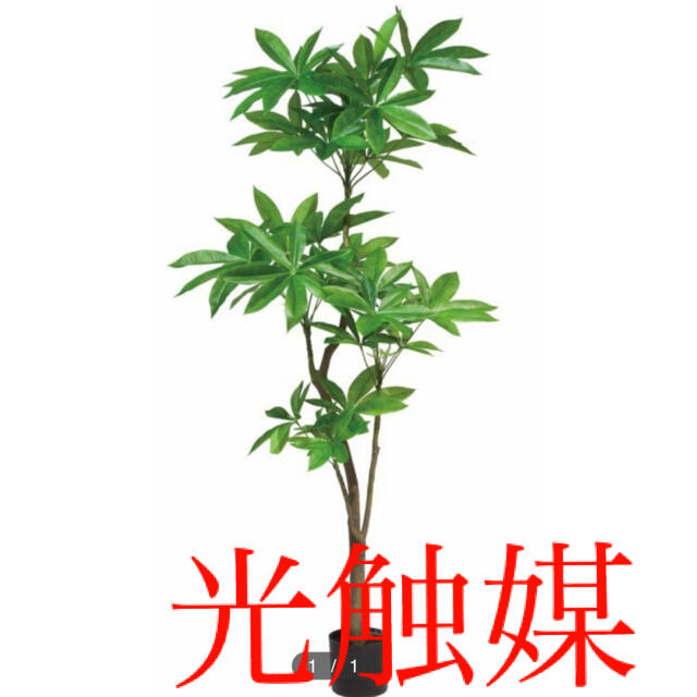 気質アップ 光触媒 人工観葉植物 ウォールグリーン 造花 インテリア