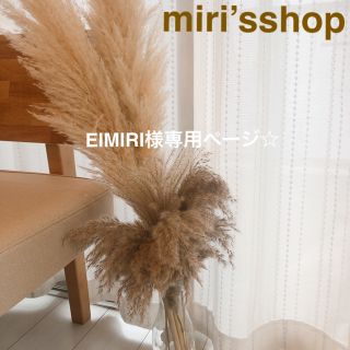 パンパスグラス　EIMIRI様専用ページ☆(ドライフラワー)