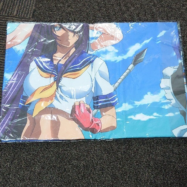 一騎当千 Xtreme Xecutor特典 ビッグサイズ マルチクロス の通販 By ヤス S Shop ラクマ 一騎当千 Xtreme Xecutor特典 ビッグサイズ マルチクロス の通販 By ヤス S Shop ラクマ