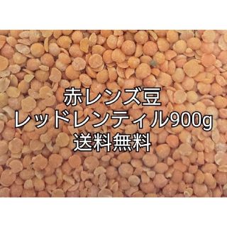 レッドレンティル900g/Red Lentil・赤レンズ豆・乾燥豆(米/穀物)