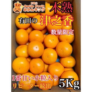 木熟　和歌山県産　有田の　津之香　小粒　送料込み　みかんキング(フルーツ)