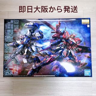 バンダイ(BANDAI)の超限定 「中国紅」Ver.RM リマスター フルパックセット MG ストライク(模型/プラモデル)