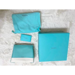 ティファニー(Tiffany & Co.)のTiffany&Co. ポーチ　ケース　値下げ(ポーチ)