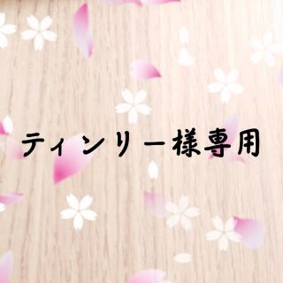 ティンリー様専用(ピアス)