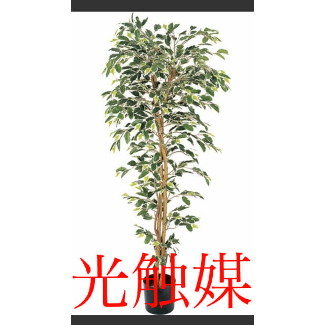 光触媒　人工観葉植物　ウォールグリーン　造花　インテリア　フィカス150