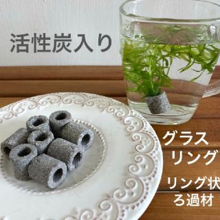 メダカ　水草　活性炭入リングフィルター８個《グレ−》観賞魚用品　アクアリウム(アクアリウム)