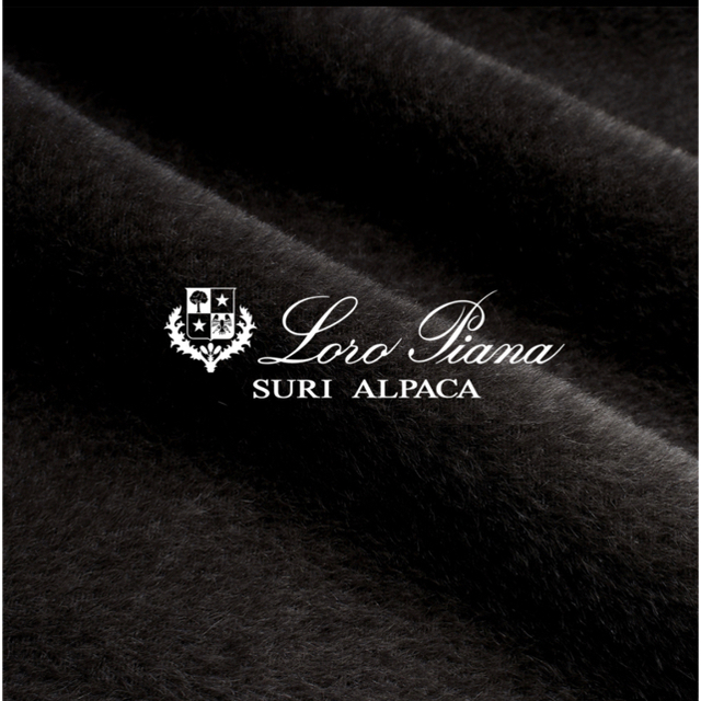 LORO PIANA(ロロピアーナ)の定価97万 エレシス ロロピアーナ 世界最高峰スーリアルパカ コート  レディースのジャケット/アウター(ロングコート)の商品写真