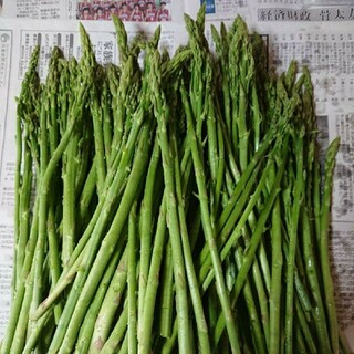 佐賀県産極細グリーンアスパラ1.8キロ(訳あり)(野菜)