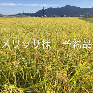 [メリッサ様予約品] 長野県産 天日干しコシヒカリ精米5kg(米/穀物)