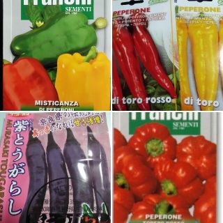 イタリア野菜の種など カラフルなピーマン パプリカ オプションハバネロ交換(その他)