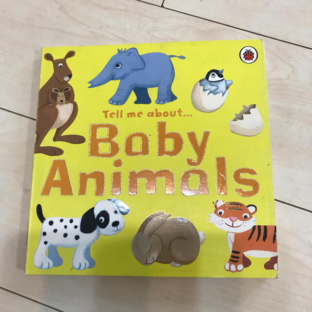 Tell me about… Baby Animals エンタメ/ホビーの本(絵本/児童書)の商品写真
