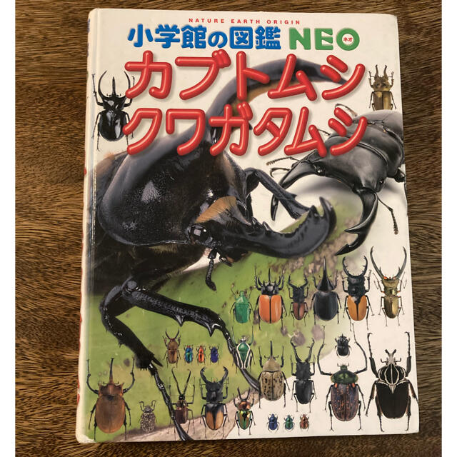 小学館の図鑑neo カブトムシ クワガタムシ の通販 By Porin S Shop ラクマ