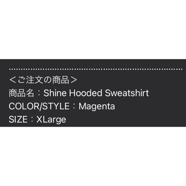 Supreme(シュプリーム)の【XL】Supreme Shine Hoodied Sweatshirts  メンズのトップス(パーカー)の商品写真