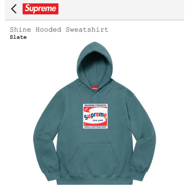 supreme Shine Hooded Sweatshirt