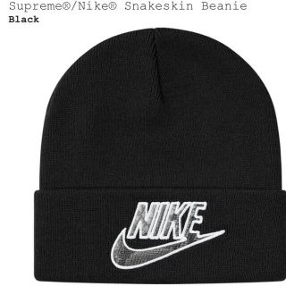 シュプリーム(Supreme)のsupreme nike Snakeskin Beanie (その他)