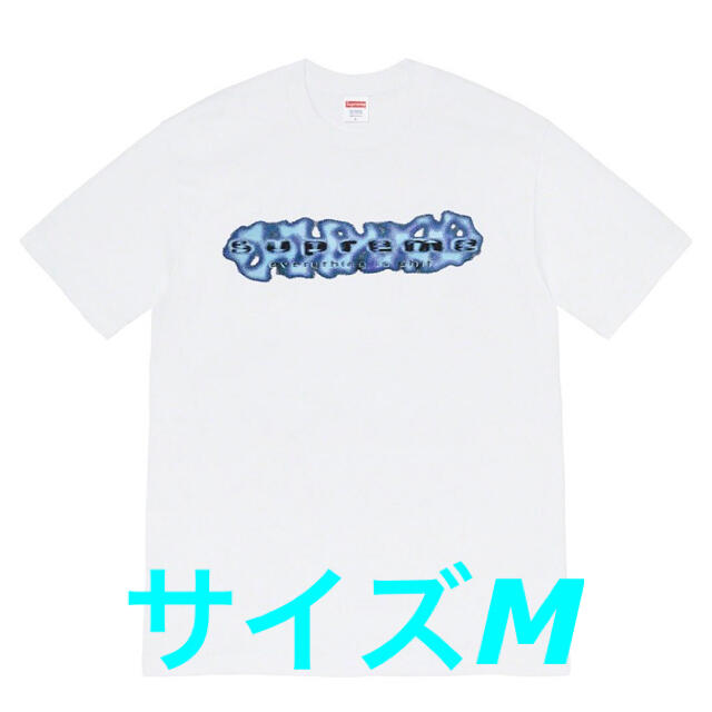 supreme/Everythiog is Shit tee Tシャツ