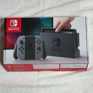 ニンテンドースイッチ(Nintendo Switch)のNintendo Switch JOY-CON グレー 本体  HAC-S-KA(家庭用ゲーム機本体)