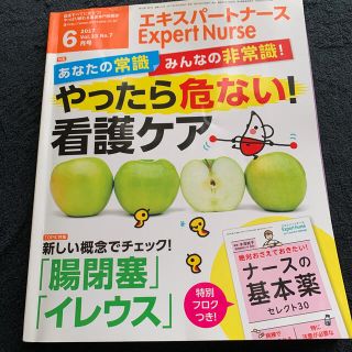 Expert Nurse (エキスパートナース) 2017年 06月号(専門誌)