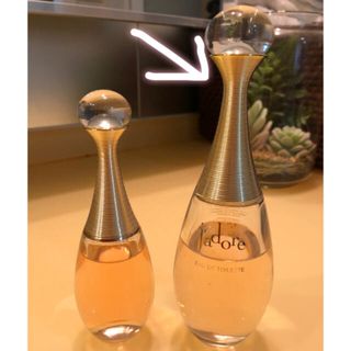 クリスチャンディオール(Christian Dior)のDIOR ジャドール　100ml (香水(女性用))