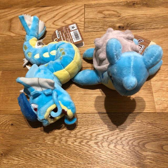 ポケモン ポケモンフィット ギャラドス ラプラスの通販 By むう S Shop ポケモンならラクマ