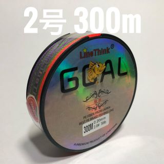 PEライン 2号 300m マルチカラー(釣り糸/ライン)