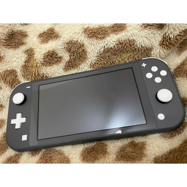 Nintendo Switch(ニンテンドースイッチ)のNintendo Switch Liteグレー あつまれどうぶつの森 セット エンタメ/ホビーのゲームソフト/ゲーム機本体(家庭用ゲーム機本体)の商品写真