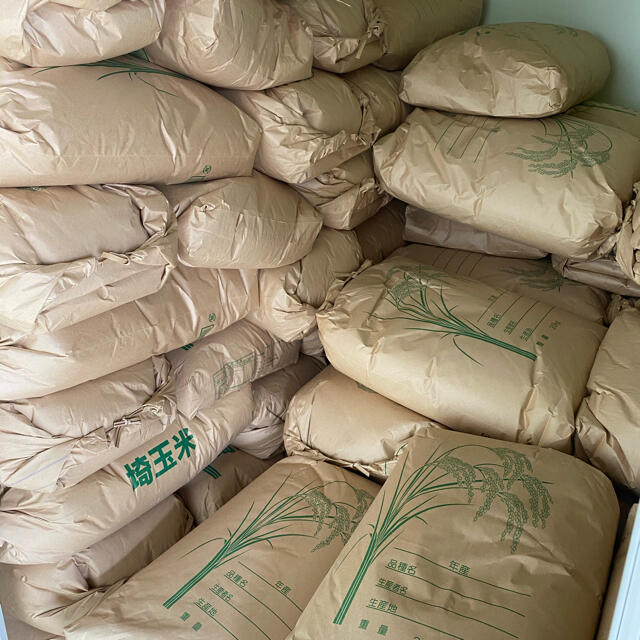 食品/飲料/酒生活応援‼️送料無料‼️令和2年産 美味しいコシヒカリ玄米25kg