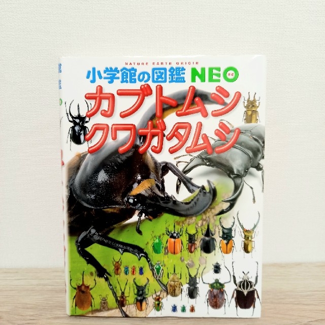 小学館 カブトムシ クワガタムシの通販 By ごう S Shop ショウガクカンならラクマ