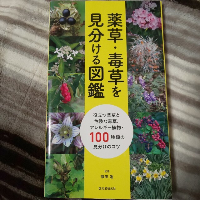 薬草・毒草を見分ける図鑑 役立つ薬草と危険な毒草、アレルギ－植物・１００種類 エンタメ/ホビーの本(趣味/スポーツ/実用)の商品写真