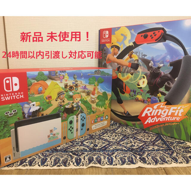 Nintendo Switch あつまれどうぶつの森セット 新品未使用未開封