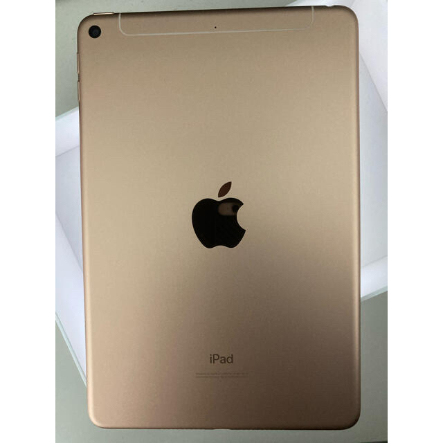 iPad mini 5世代 64GBセルラー モデル