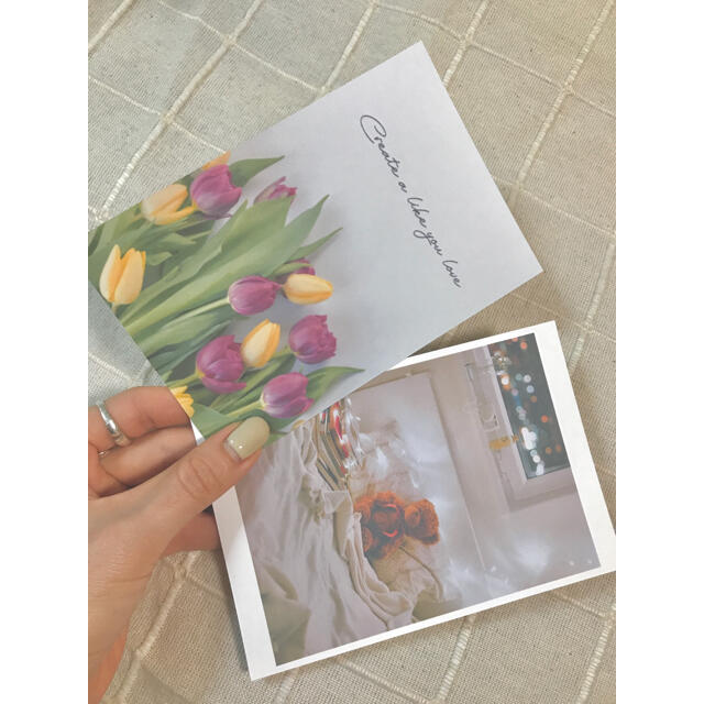 ポストカードセット tulip インテリア/住まい/日用品のインテリア小物(その他)の商品写真