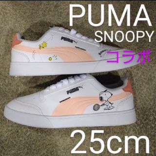 プーマ(PUMA)の新品❤PUMA SNOOPY スニーカー プーマ スヌーピー テニス コラボ限定(スニーカー)