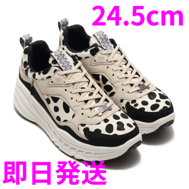 UGG CA805 Dalmatian アグ ダルメシアン 24.5cm