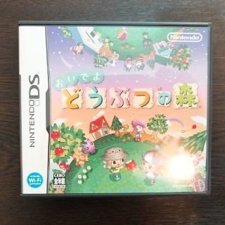 ニンテンドーDS(ニンテンドーDS)のおいでよ どうぶつの森 DS(その他)