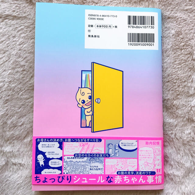 おかあさん、お空のセカイのはなしをしてあげる！ 胎内記憶ガールの日常 エンタメ/ホビーの本(文学/小説)の商品写真