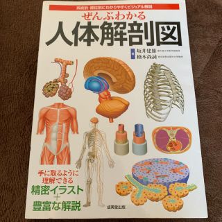 ぜんぶわかる人体解剖図 系統別・部位別にわかりやすくビジュアル解説(その他)