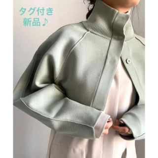 アメリヴィンテージ(Ameri VINTAGE)の河北麻友子さん購入色！アメリヴィンテージROUNDNESS SHORT KNIT(ニット/セーター)