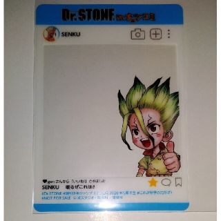 シュウエイシャ(集英社)のナツコミ　2020　ドクターストーン　Dr.Stone(キャラクターグッズ)