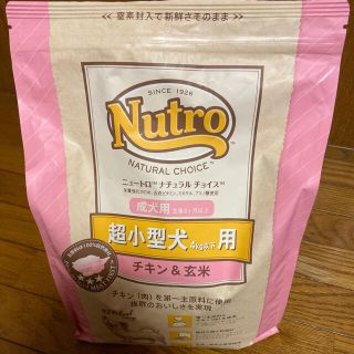 最終お値下げしました！ニュートロ ナチュラルチョイス 超小型犬 成犬用(ペットフード)