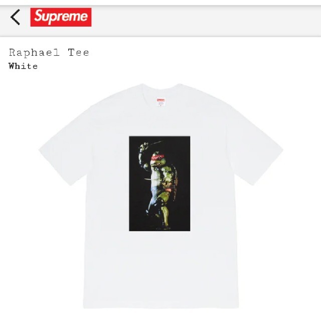 supreme 21ss raphael tee black 黒 M