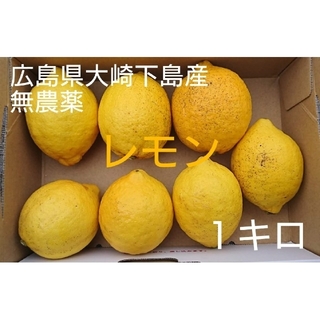 無農薬！広島県大崎下島産 特別栽培レモン １キロ(フルーツ)