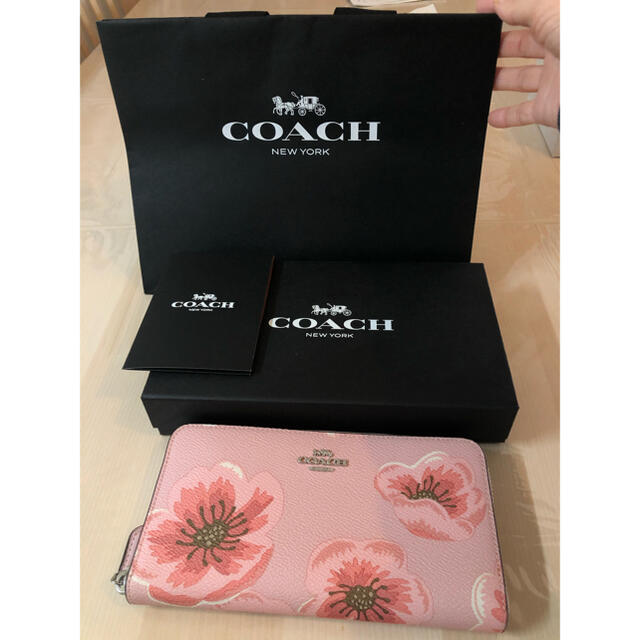 COACH(コーチ)の日本限定【コーチ】アコーディオン ジップ ウォレット ウィズ サクラ ブロッサム レディースのファッション小物(財布)の商品写真