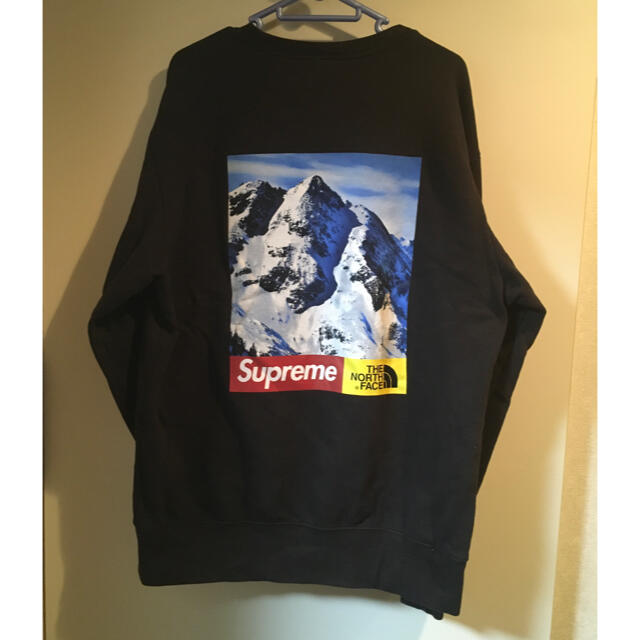 トップスSupreme the north face mountain  雪山