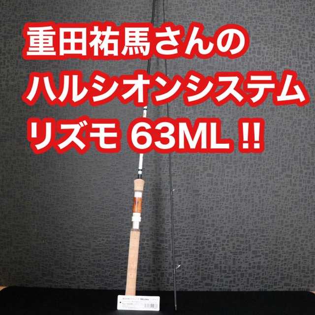 ハルシオンシステム　リズモ　63ML 保証書有