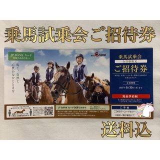 乗馬試乗会 ご招待券(その他)