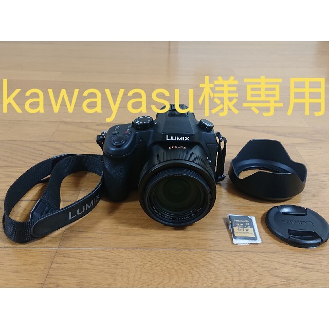 Panasonic DMC-FZ1000  SDXC64GB