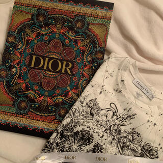 クリスチャンディオール(Christian Dior)のTシャツ(Tシャツ(半袖/袖なし))